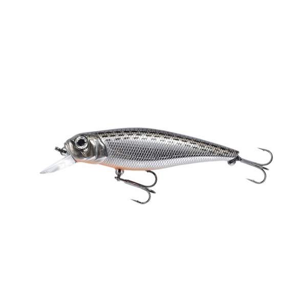 Fishycat TOMCAT 67SP-SR / R10
