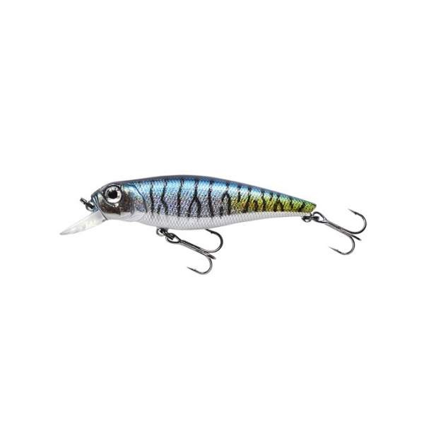 Fishycat TOMCAT 67SP-SR / R11