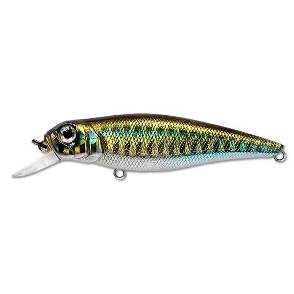 Fishycat TOMCAT 67SP-SR / R09
