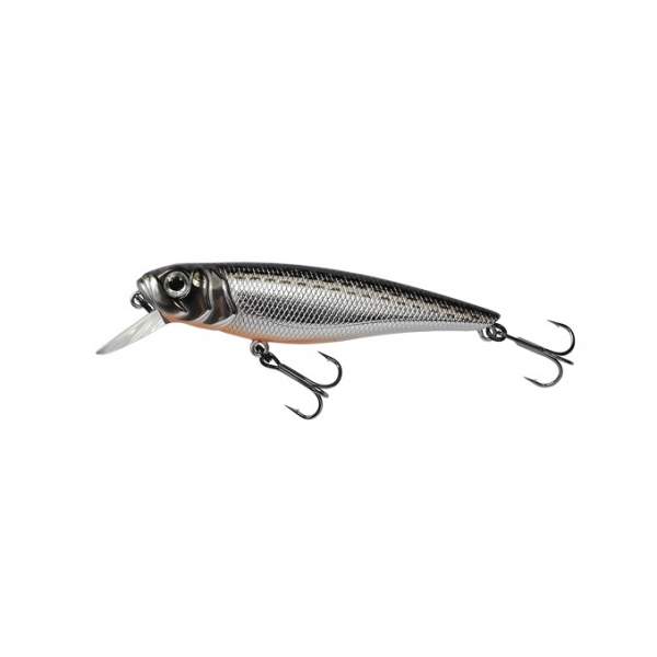 Fishycat TOMCAT 80SP-SR / R10
