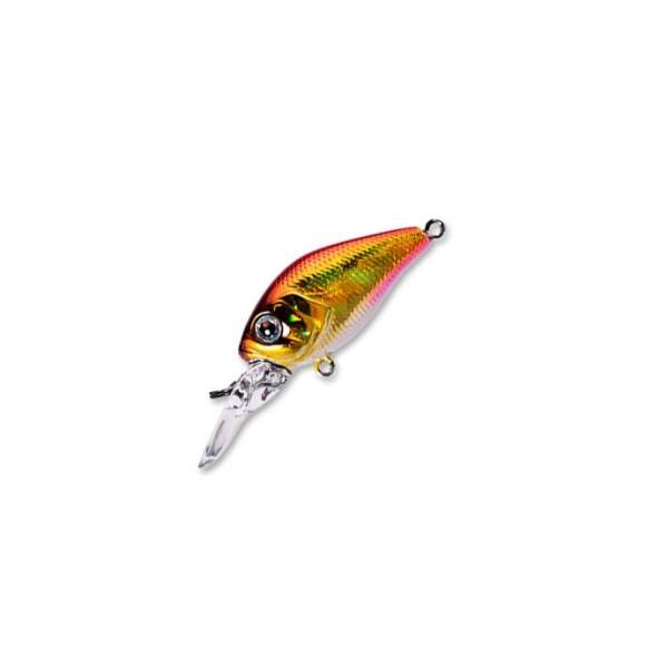 Fishycat icat 32F-DR / R15