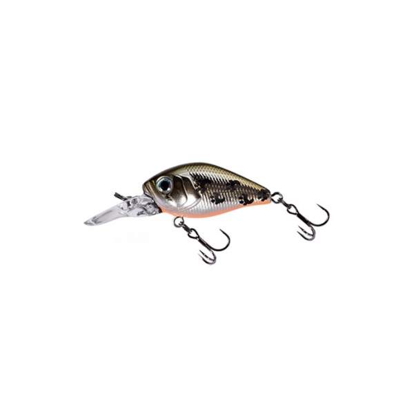 Fishycat icat 32F-DR / X06