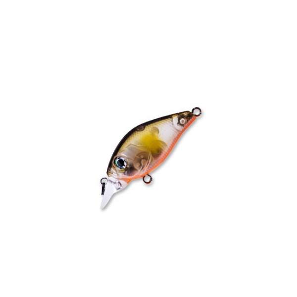 Fishycat icat 32F-SR / R18