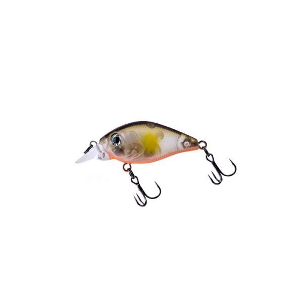 Fishycat icat 32F-SR / R18