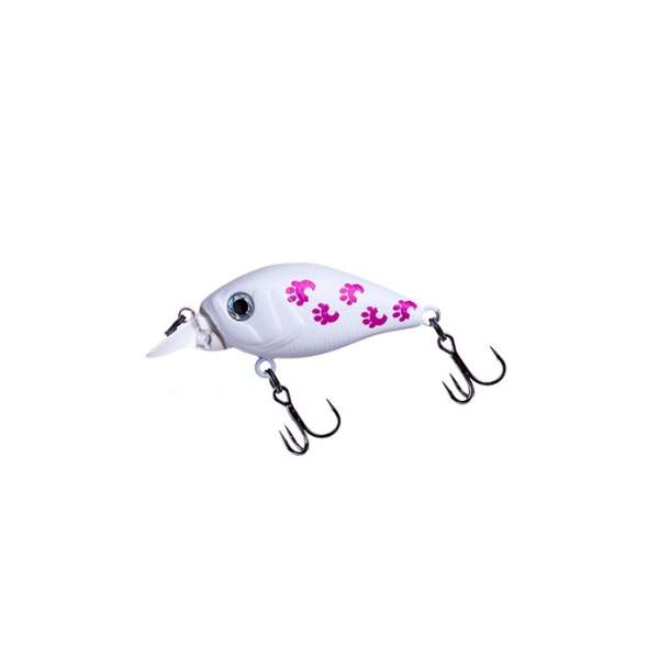 Fishycat icat 32F-SR / X10
