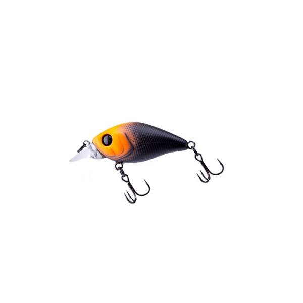 Fishycat icat 32F-SR / X12