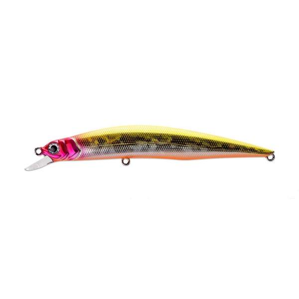 Fishycat LIBYCA 110SP / R21