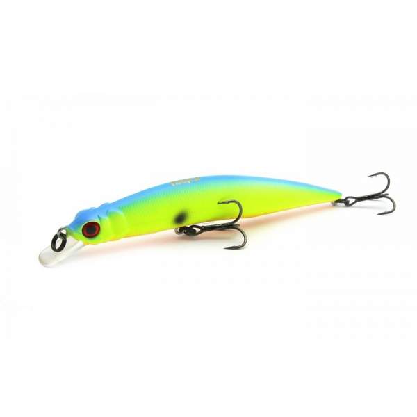 Fishycat LIBYCA 110SP / R17