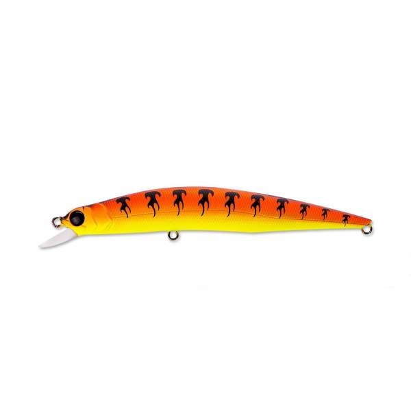 Fishycat LIBYCA 110SP / X13