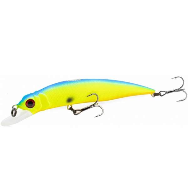Fishycat LIBYCA 90SP / R17