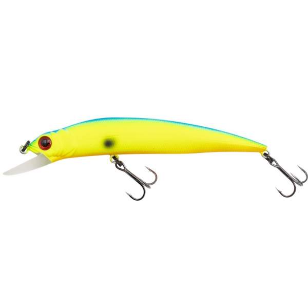 Fishycat LIBYCA 90SP / R17