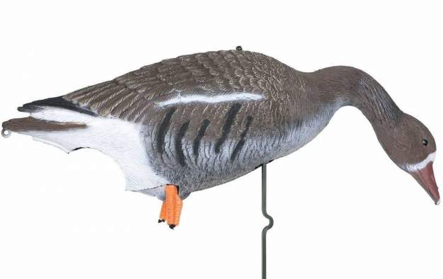 Купить Sport Plast DLX 940, белолобый Sport Plast DLX 940, белолобый