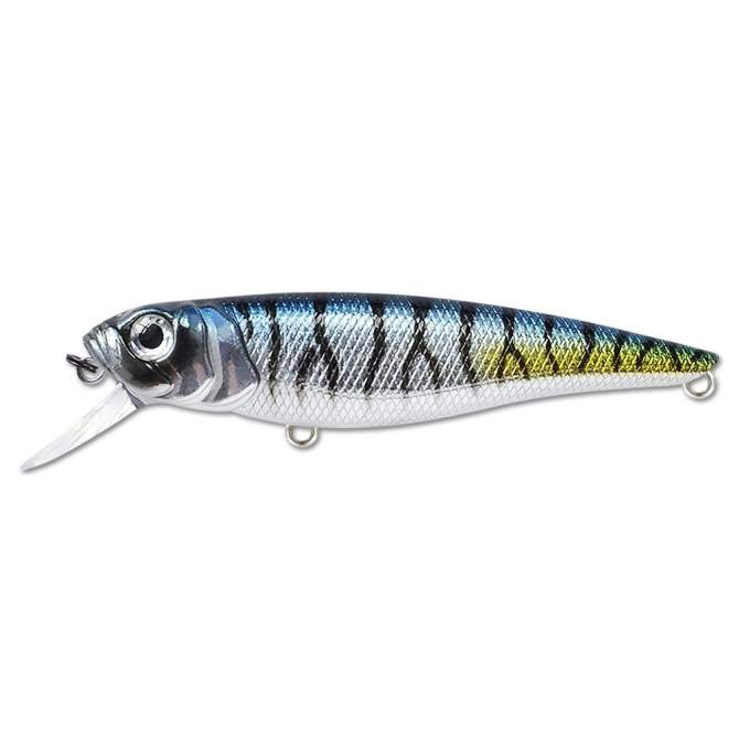 Fishycat TOMCAT 80SP-SR / R11