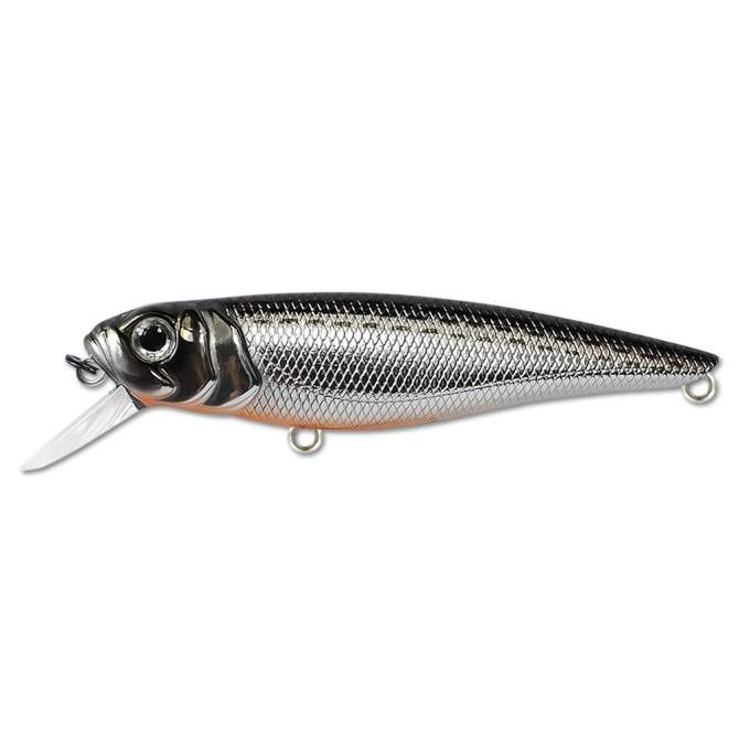 Fishycat TOMCAT 80SP-SR / R10