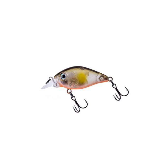Fishycat icat 32F-SR / R18