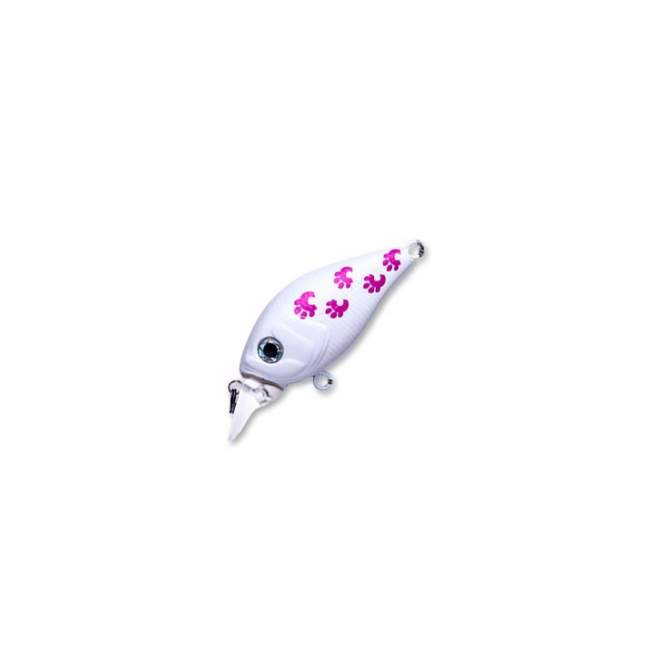 Fishycat icat 32F-SR / X10