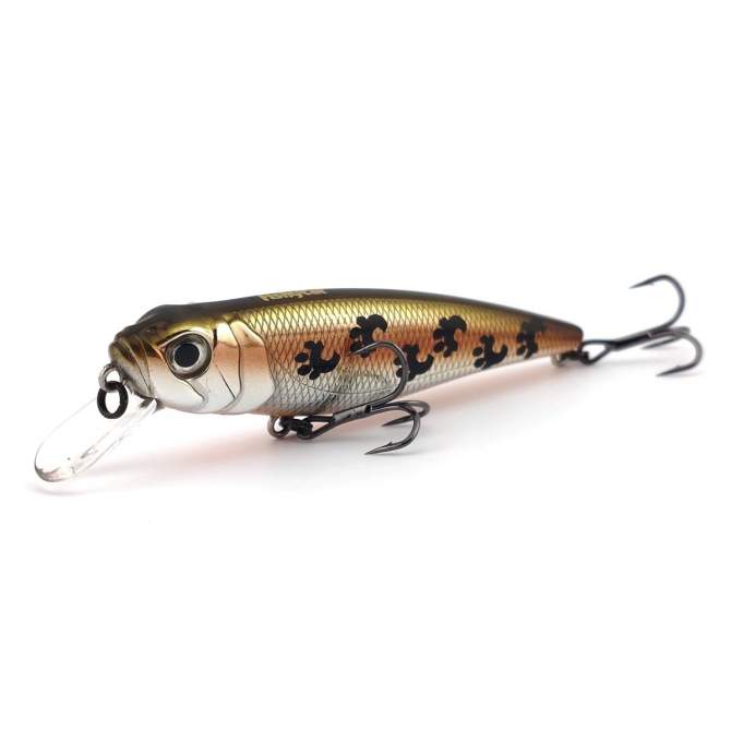 Fishycat TOMCAT 80SP-SR / X06