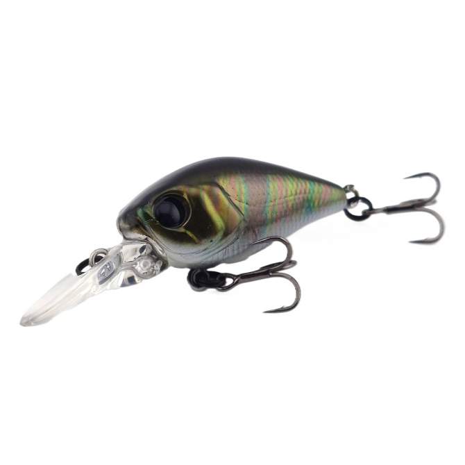 Fishycat icat 32F-DR / R29
