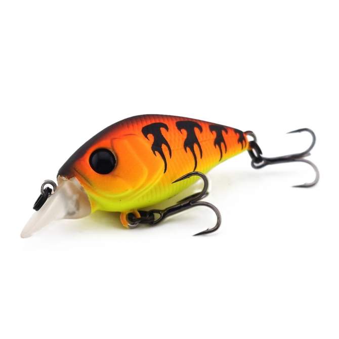 Fishycat icat 32F-SR / X13