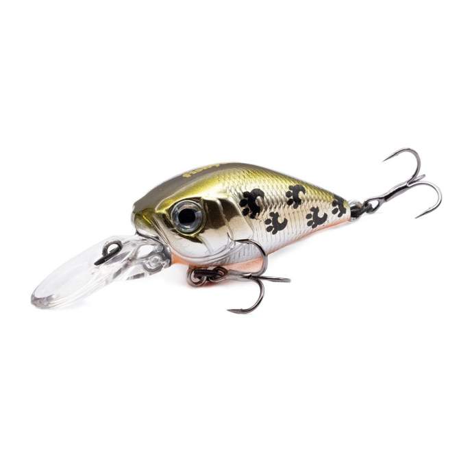 Fishycat icat 32F-DR / X06