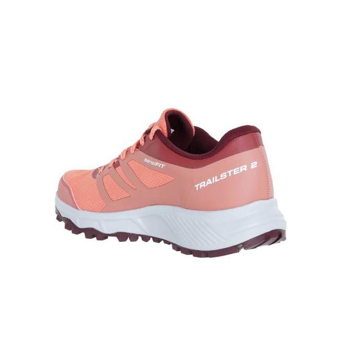 Salomon TRAILSTER 2 GTX W, Persimon-Pea