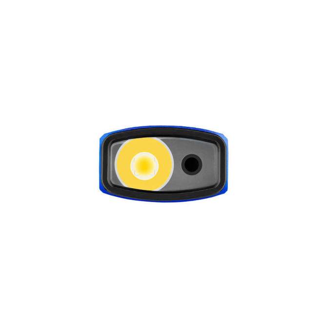 Olight Arkfeld Blue CW