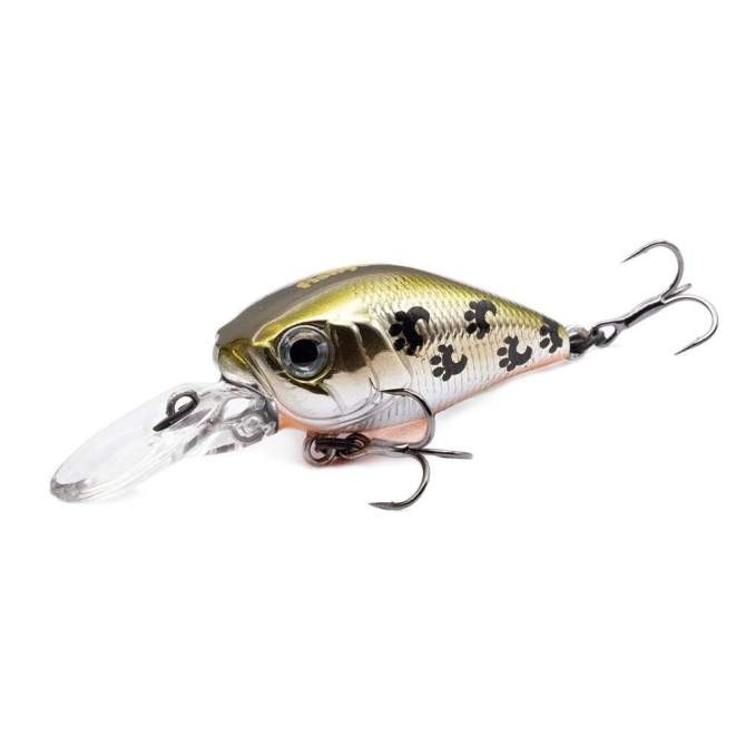 Fishycat icat 32F-DR / X06
