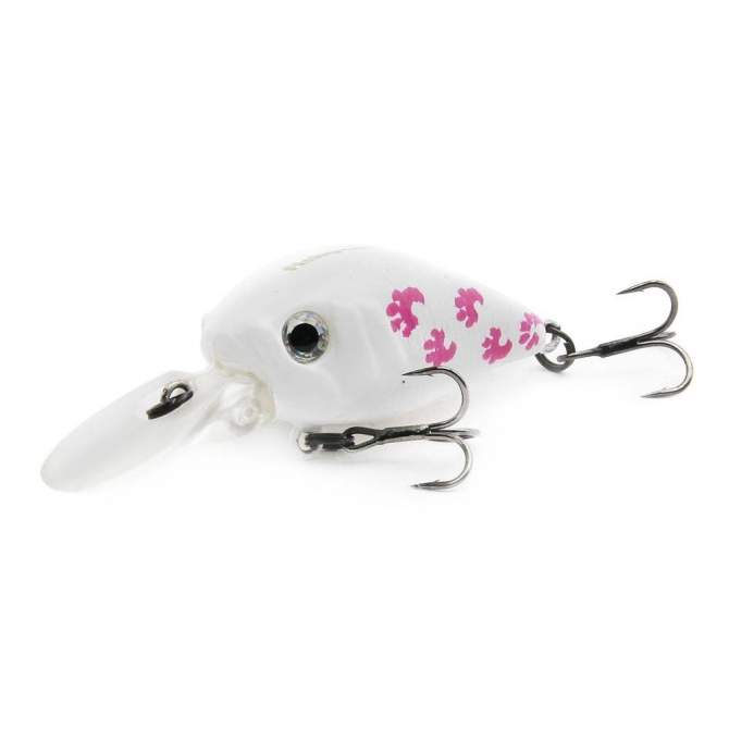 Fishycat icat 32F-DR / X10