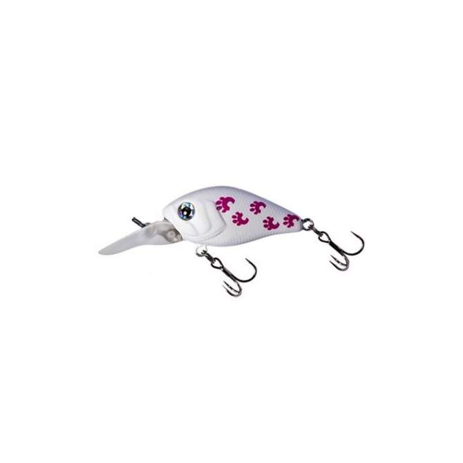 Fishycat icat 32F-DR / X10