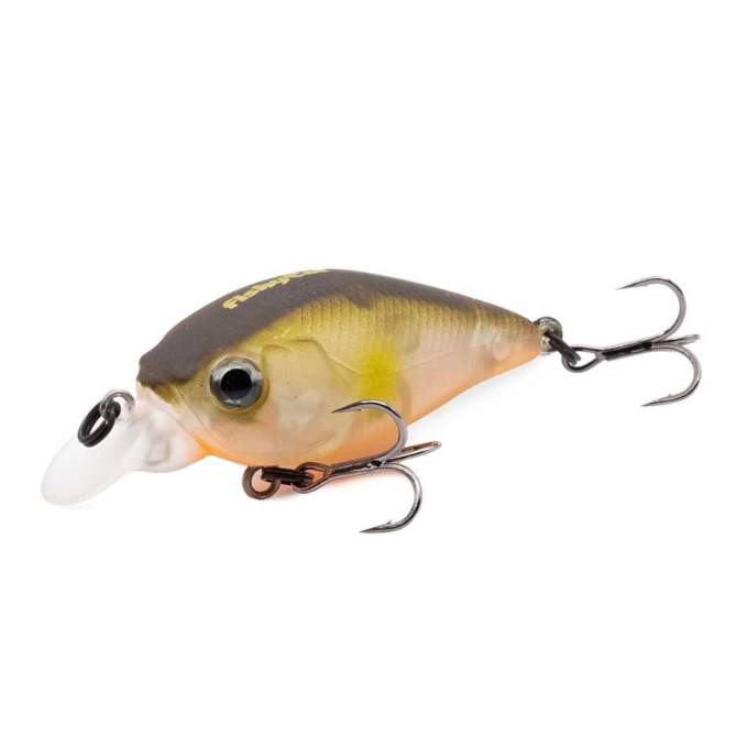 Fishycat icat 32F-SR / R18