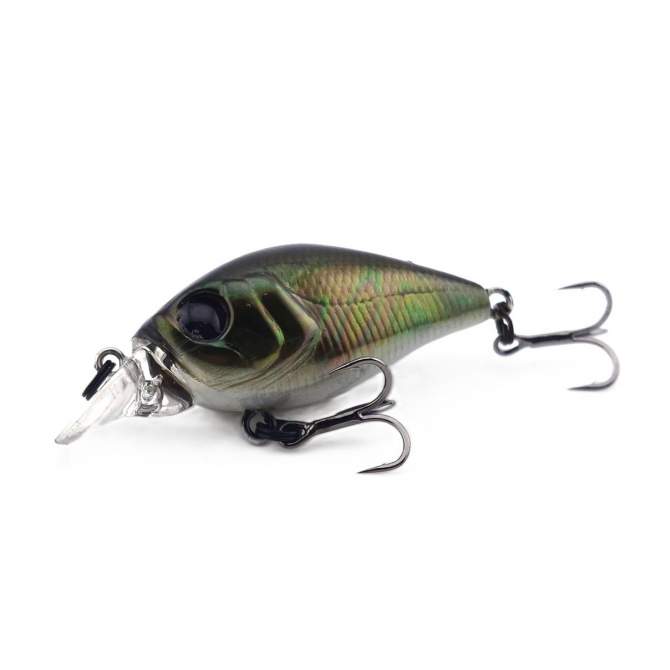 Fishycat icat 32F-SR / R29