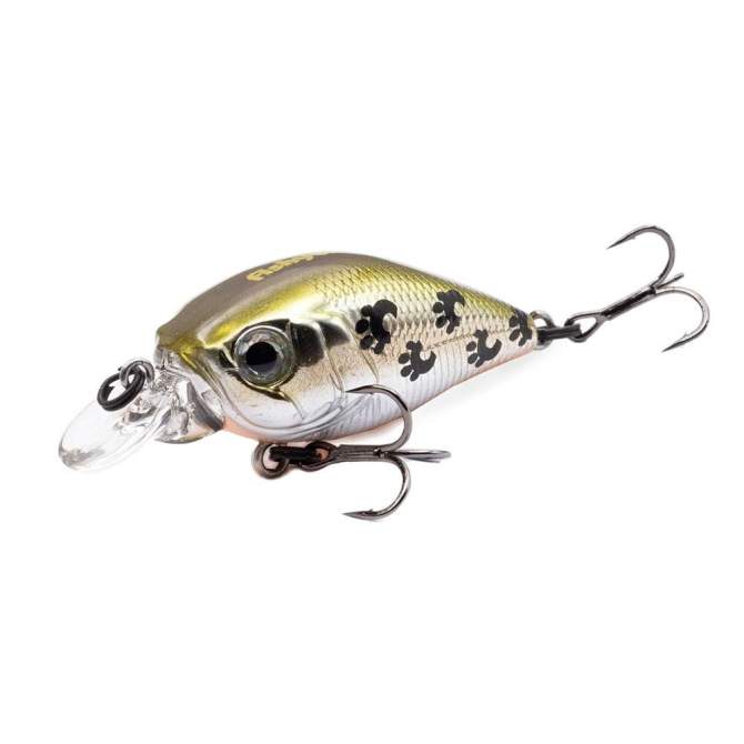 Fishycat icat 32F-SR / X06