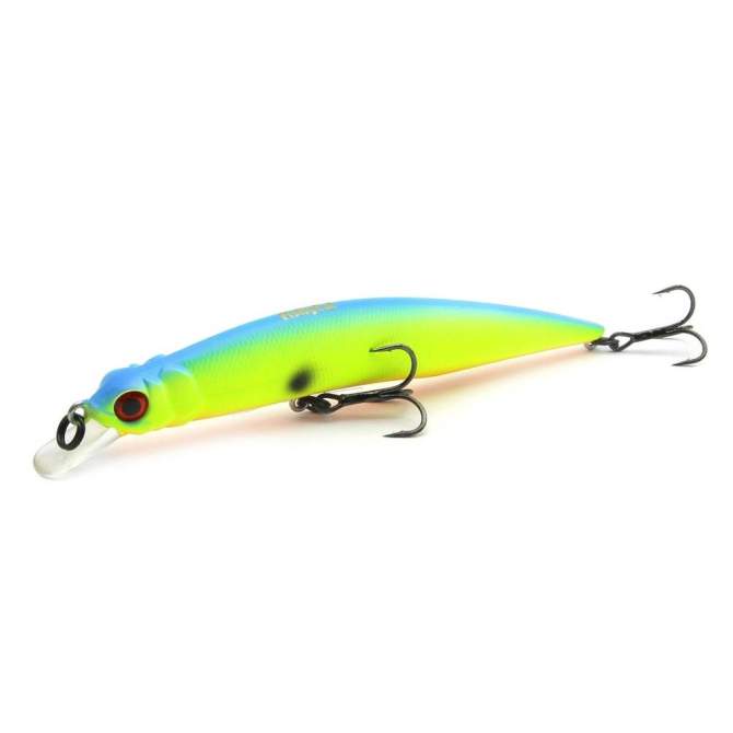 Fishycat LIBYCA 110SP / R17
