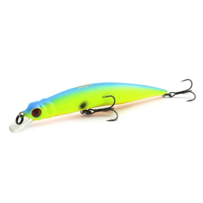 Fishycat LIBYCA 110SP / R17