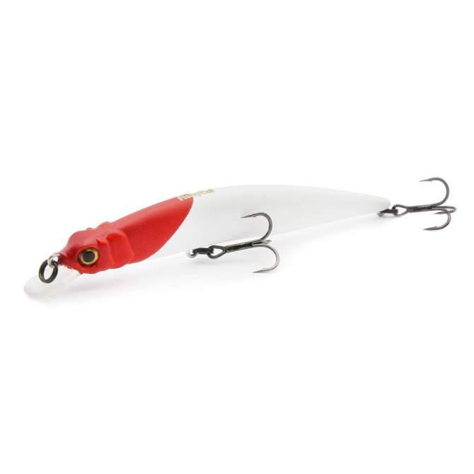 Fishycat LIBYCA 110SP / X01