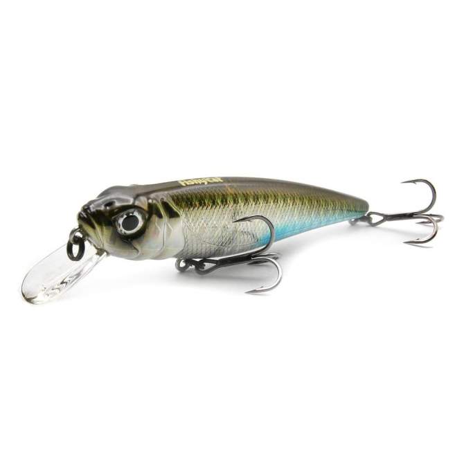 Fishycat TOMCAT 80SP-SR / R09