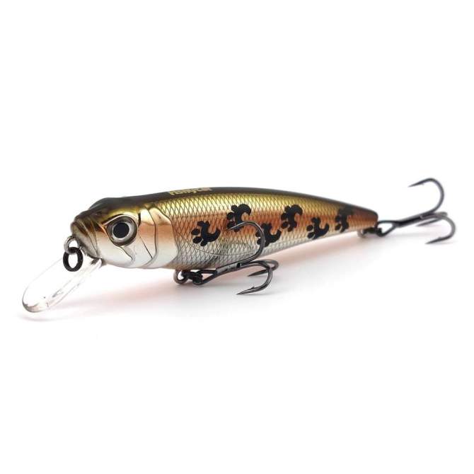 Fishycat TOMCAT 80SP-SR / X06