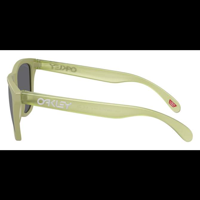 Oakley FROGSKINS MATTE FERN, PRIZM BLACK POLAR