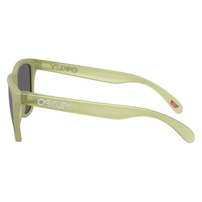 Oakley FROGSKINS MATTE FERN, PRIZM BLACK POLAR