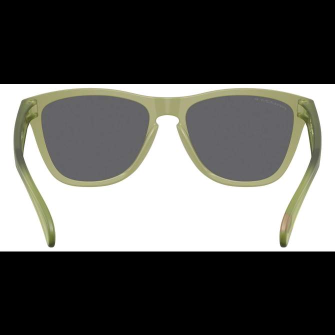 Oakley FROGSKINS MATTE FERN, PRIZM BLACK POLAR