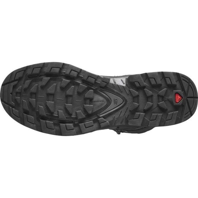 Salomon QUEST 4 GTX, Magnet-Black-Quarry