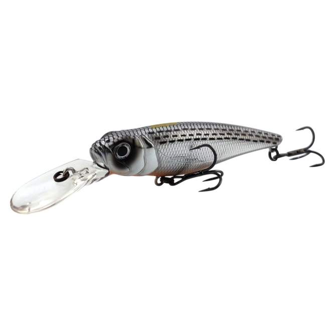 Fishycat TOMCAT 80SP-DR / R10