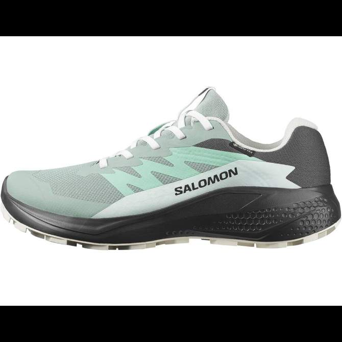Salomon ALPHAGLIDE GTX W, Green M Asphalt-Clearly Aqua