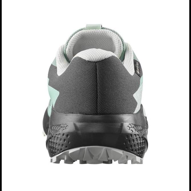 Salomon ALPHAGLIDE GTX W, Green M Asphalt-Clearly Aqua