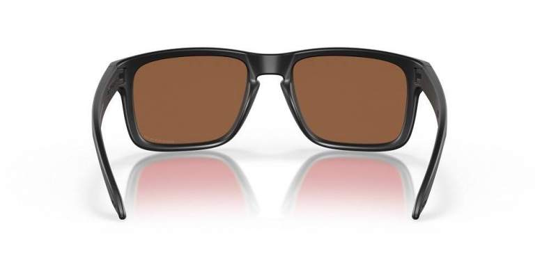 Oakley HOLBROOK MATTE BLACK, PRIZM TUNGSTEN POLARIZED