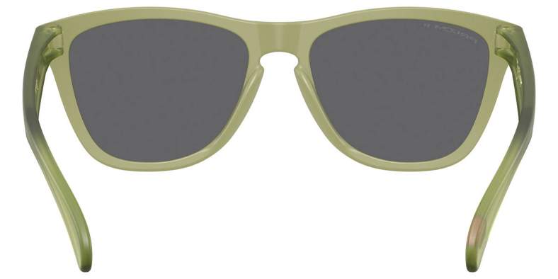 Купить Oakley FROGSKINS MATTE FERN, PRIZM BLACK POLAR Oakley FROGSKINS MATTE FERN, PRIZM BLACK POLAR