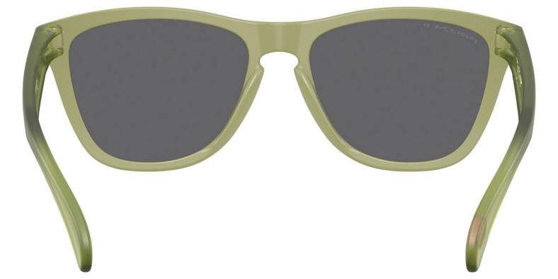 Oakley FROGSKINS MATTE FERN, PRIZM BLACK POLAR
