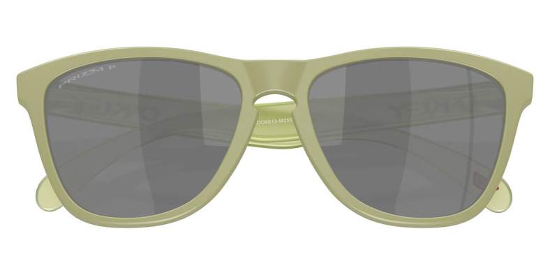 Купить Oakley FROGSKINS MATTE FERN, PRIZM BLACK POLAR Oakley FROGSKINS MATTE FERN, PRIZM BLACK POLAR