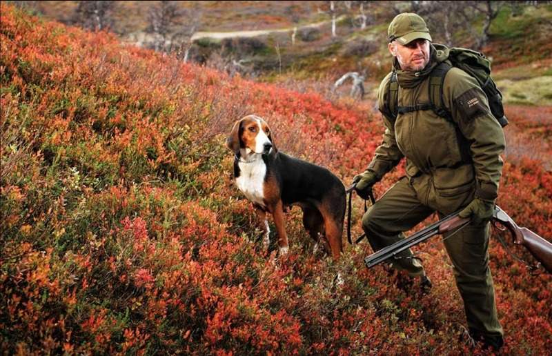 Топ лучшей одежды для охоты