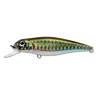 Fishycat TOMCAT 67SP-SR / R09
